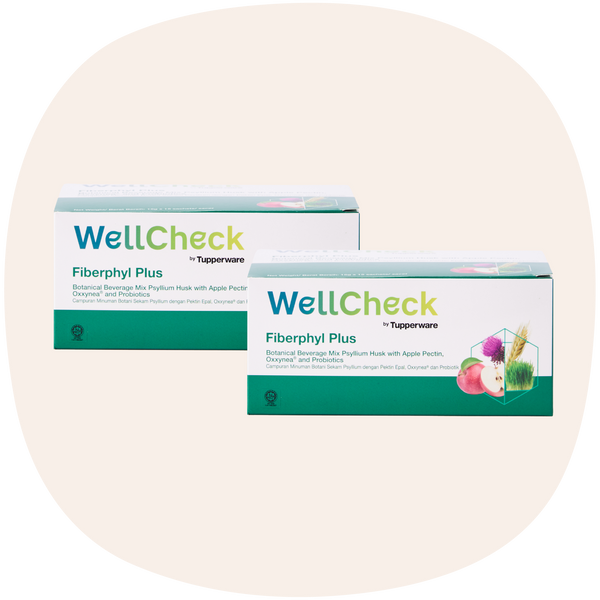 WellCheck Fiberphyl Plus | 2boxes | 15gm x 15 sachets