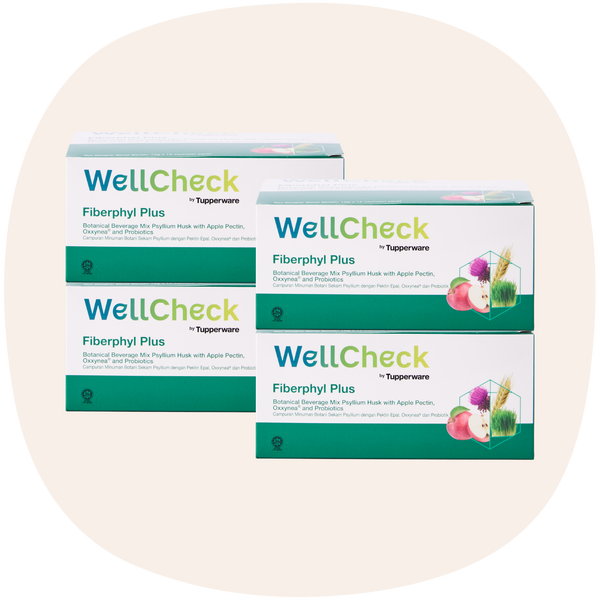 WellCheck Fiberphyl Plus | 4boxes | 15gm x 15 sachets
