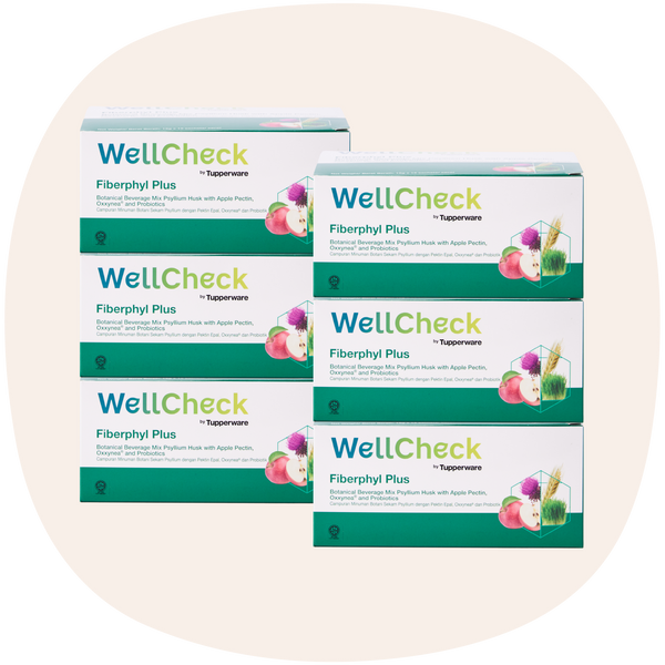 WellCheck Fiberphyl Plus | 6boxes | 15gm x 15 sachets