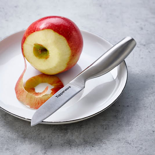 Mastro Utility Knife | 1pc
